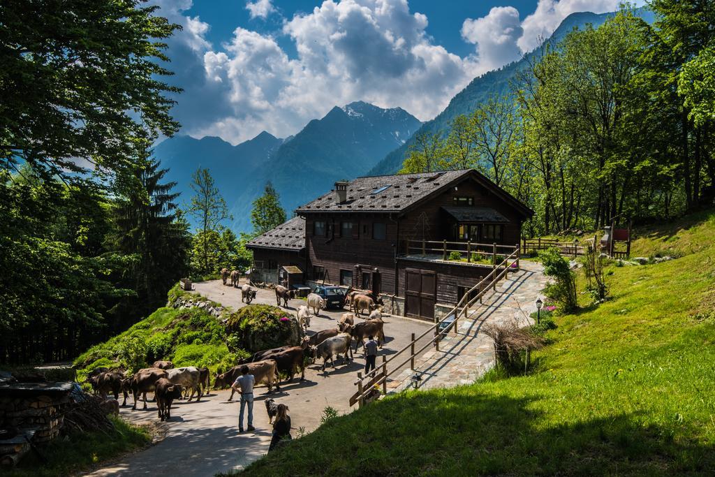 Agriturismo Alagna Exterior photo